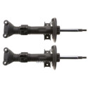 Set ammortizzatori TRW JGM1104T