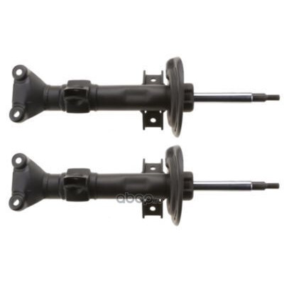 Set di (2) ammortizzatori TRW JGM1104T