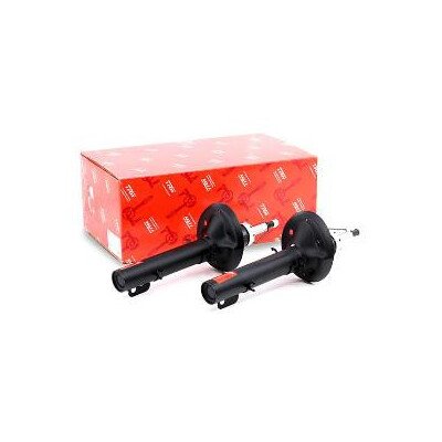 Set di (2) ammortizzatori TRW JGM1201T