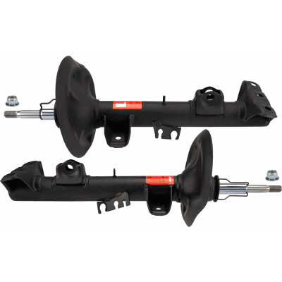 Set di (2) ammortizzatori TRW JGM1245T