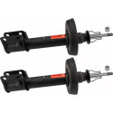Set ammortizzatori TRW JGM153T