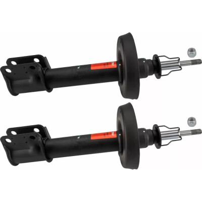 Set di (2) ammortizzatori TRW JGM153T