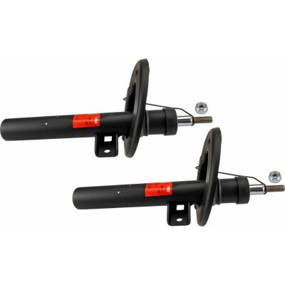 Set di (2) ammortizzatori TRW JGM211T