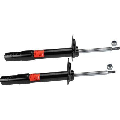 Set di (2) ammortizzatori TRW JGM240T