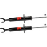 Set ammortizzatori TRW JGS228T