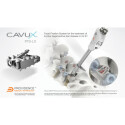 Sospensione, Forcellone oscillante CAUTEX/FACET 200925
