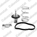 Termostato, Refrigerante CALORSTAT di Vernet THK7276.83J