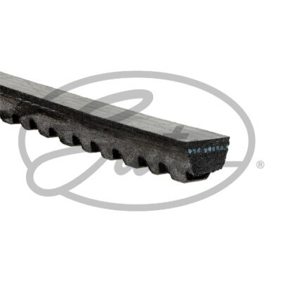 Cinghia trapezoidale GATES AVX10X1350HD