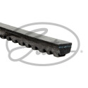 Cinghia trapezoidale GATES AVX10X800HD