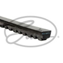 Cinghia trapezoidale GATES AVX13X1300HD