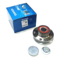 Kit cuscinetto ruota DAYCO KWD1006