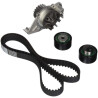 Kit pompa acqua + cinghia di distribuzione DOLZ KD008