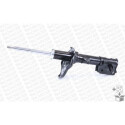 Ammortizzatore MONROE 376118SP
