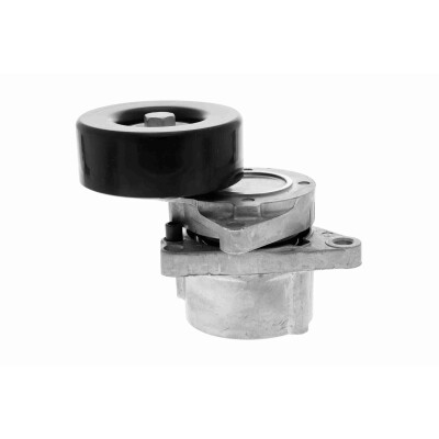 Tendicinghia, Cinghia Poly-V
