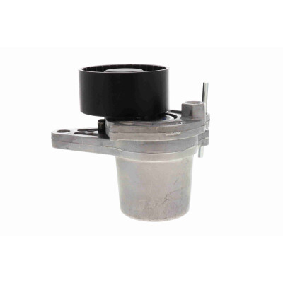 Tendicinghia, Cinghia Poly-V