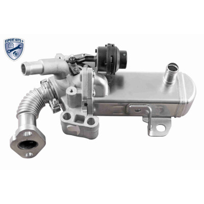 Modulo EGR