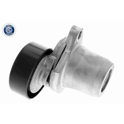 Tendicinghia, Cinghia Poly-V