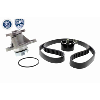 Kit Cinghie Poly-V