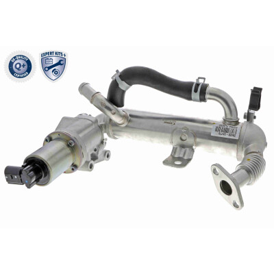 Modulo EGR