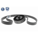 Kit Cinghie Poly-V