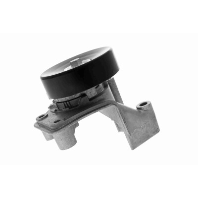 Tendicinghia, Cinghia Poly-V