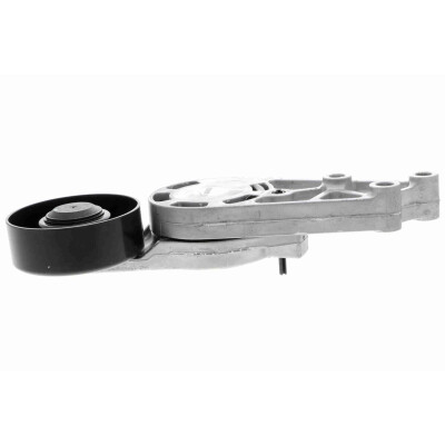 Tendicinghia, Cinghia Poly-V