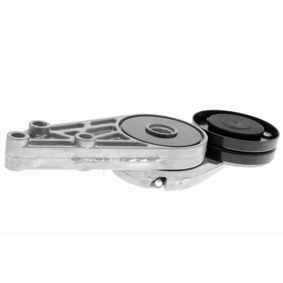 Tendicinghia, Cinghia Poly-V