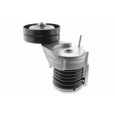 Tendicinghia, Cinghia Poly-V