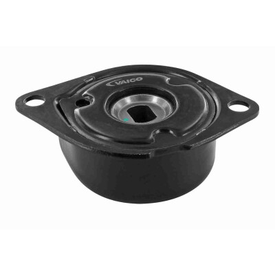 Tendicinghia, Cinghia Poly-V