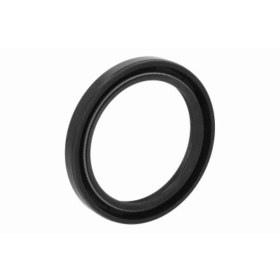 Paraolio, Cambio manuale