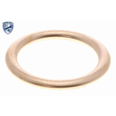 Anello di tenuta, vite di scarico olio