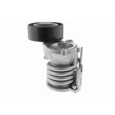 Tendicinghia, Cinghia Poly-V