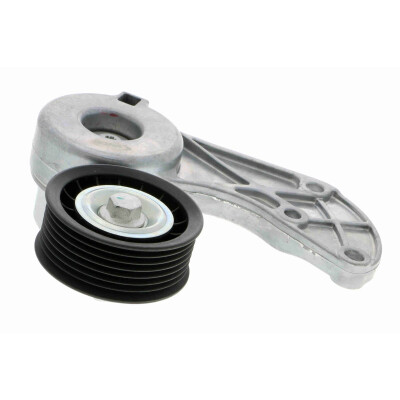Tendicinghia, Cinghia Poly-V