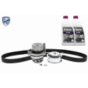 Pompa acqua + Kit cinghie dentate