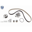 Pompa acqua + Kit cinghie dentate