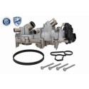 Pompa acqua + Kit cinghie dentate
