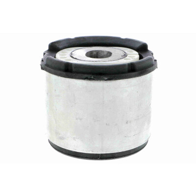 Supporto, Corpo assiale