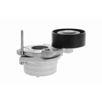 Tendicinghia, Cinghia Poly-V