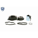Valvola, Ventilazione carter