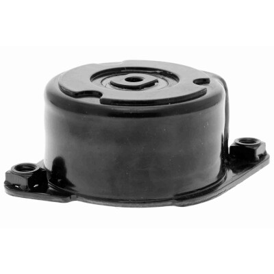 Tendicinghia, Cinghia Poly-V