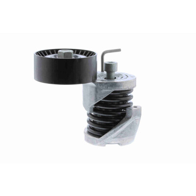 Tendicinghia, Cinghia Poly-V