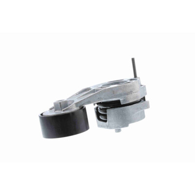 Tendicinghia, Cinghia Poly-V