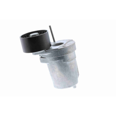 Tendicinghia, Cinghia Poly-V
