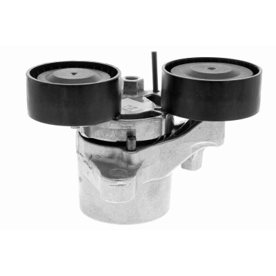 Tendicinghia, Cinghia Poly-V