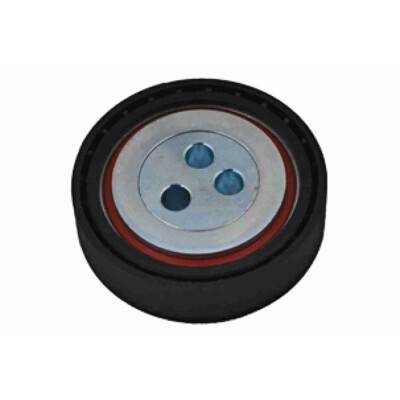 Rullo tenditore, Cinghia Poly-V VAICO V24-0798