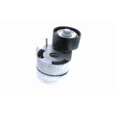 Tendicinghia, Cinghia Poly-V