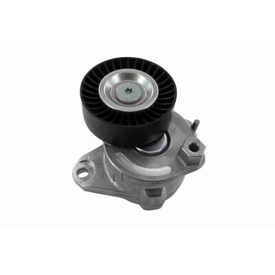 Tendicinghia, Cinghia Poly-V