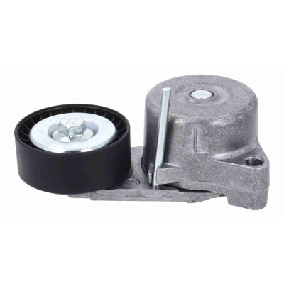 Tendicinghia, Cinghia Poly-V