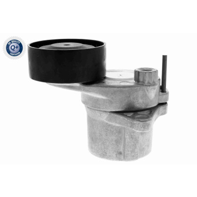 Tendicinghia, Cinghia Poly-V