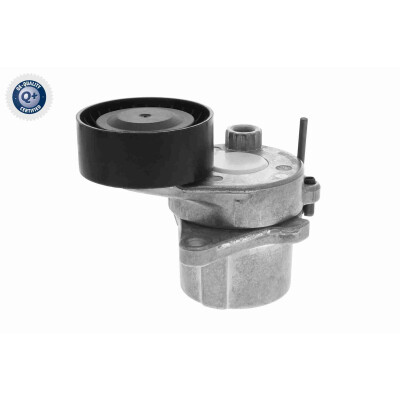 Tendicinghia, Cinghia Poly-V